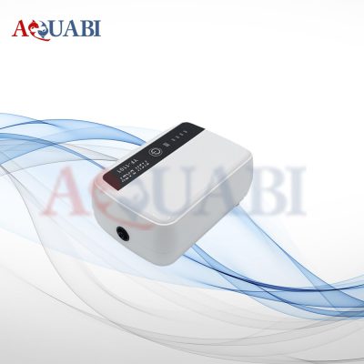پمپ هوا شارژی تک خروجی YF-1101