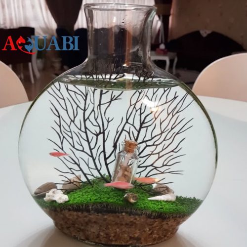 ریشه ویکتوریا 