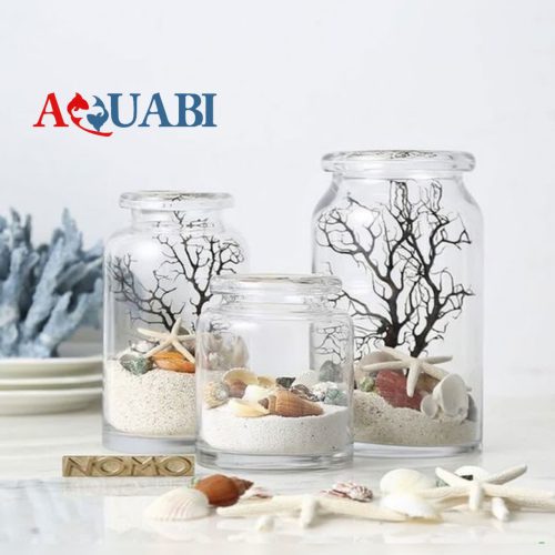 ریشه ویکتوریا (ریز)