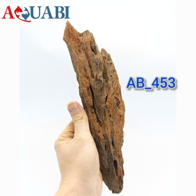 تنه چوب آبنوس آکواریوم AB-453 دریفت وود