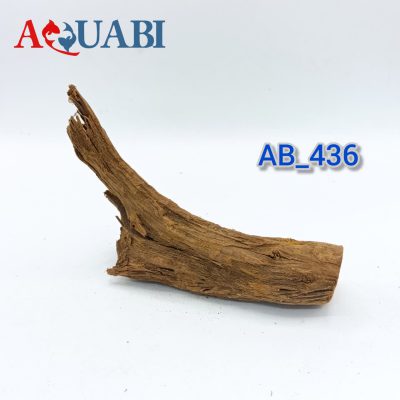 تنه چوب آبنوس آکواریوم AB-436 دریفت وود