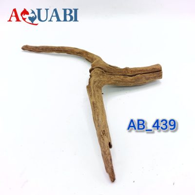 تنه چوب آبنوس آکواریوم AB-439 دریفت وود