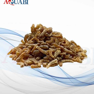 غذای میگو نیمه خشک