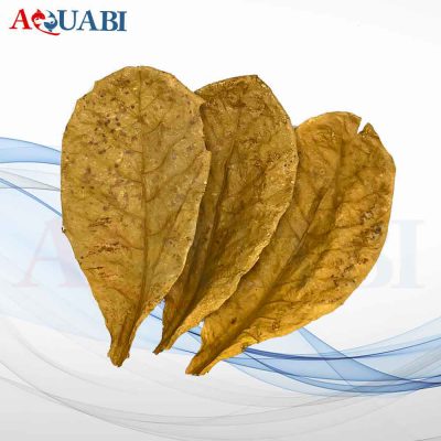برگ کاتاپا دلتا (بسته 3 عددی)