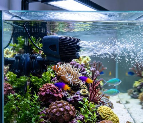 موج ساز آکواریوم جیکس JIX-220M