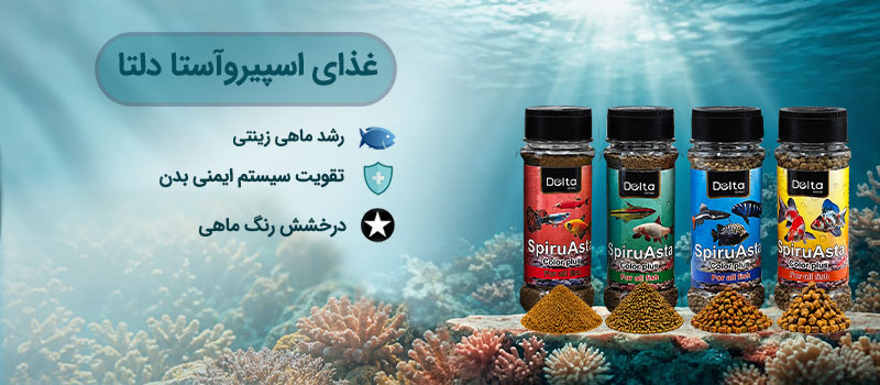 تجهیزات و لوازم آکواریوم آکوابی