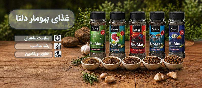 تجهیزات و لوازم آکواریوم آکوابی