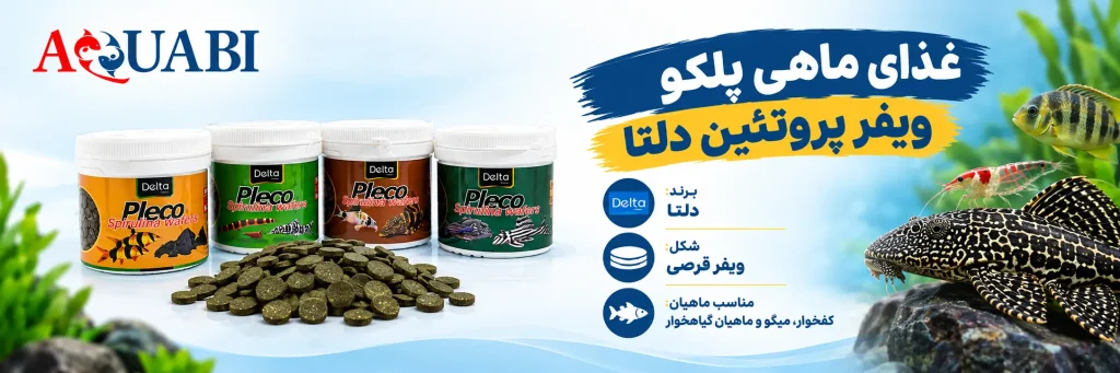 تجهیزات و لوازم آکواریوم آکوابی