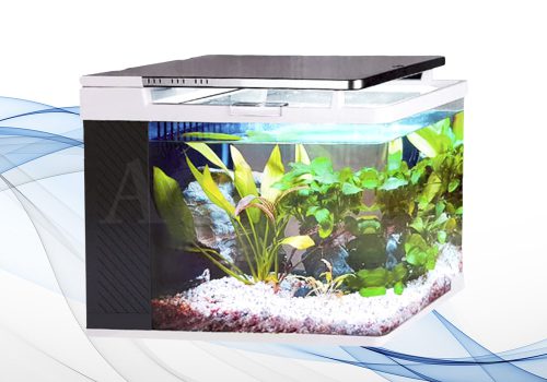 https___aquabi.ir_wp-stemplate-aqurium-1