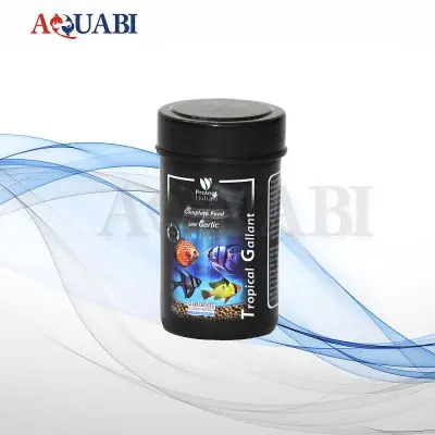 غذای تروپیکال گالانت پروتکت نیچر 50 گرمی