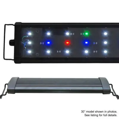 led آکواریوم