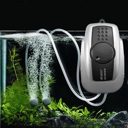 فروشگاه آکواریوم در اصفهان