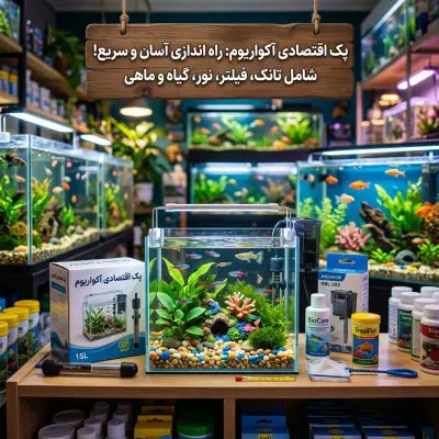 پک های اقتصادی