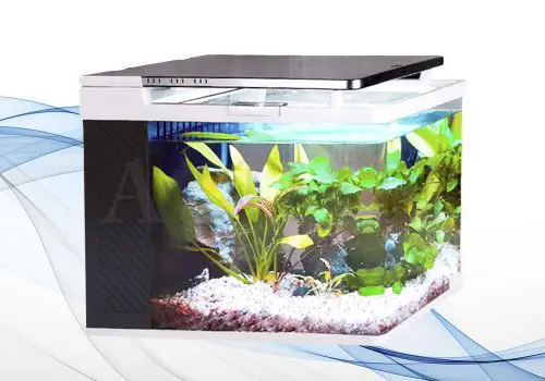 https___aquabi.ir_wp-stemplate-aqurium-1